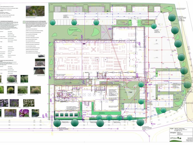 Industriegebäude- Grünplanung und Gestaltung der Vegetationsbereiche
