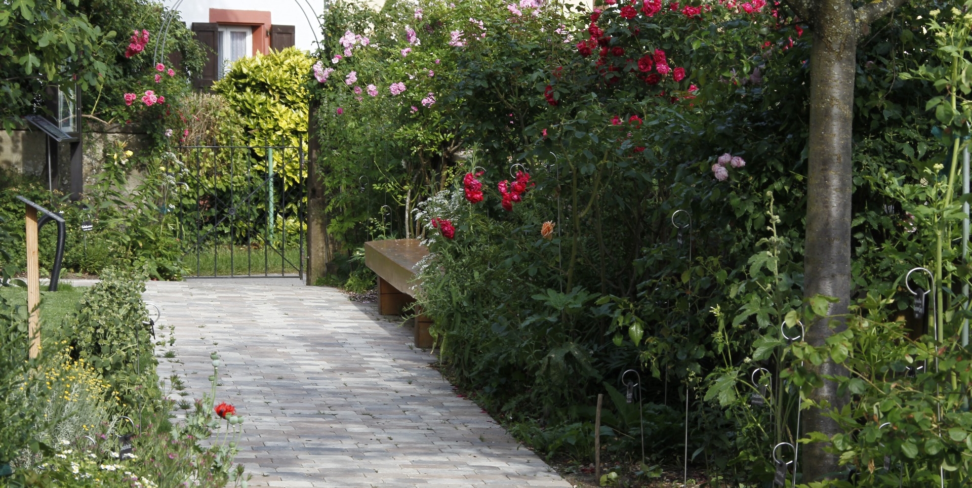 Umgestaltung Kapellengarten